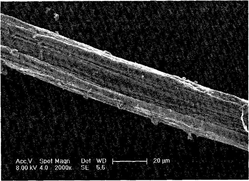 Method for continuously synthesizing single-wall carbon nano tube by high temperature chemical vapor deposition method