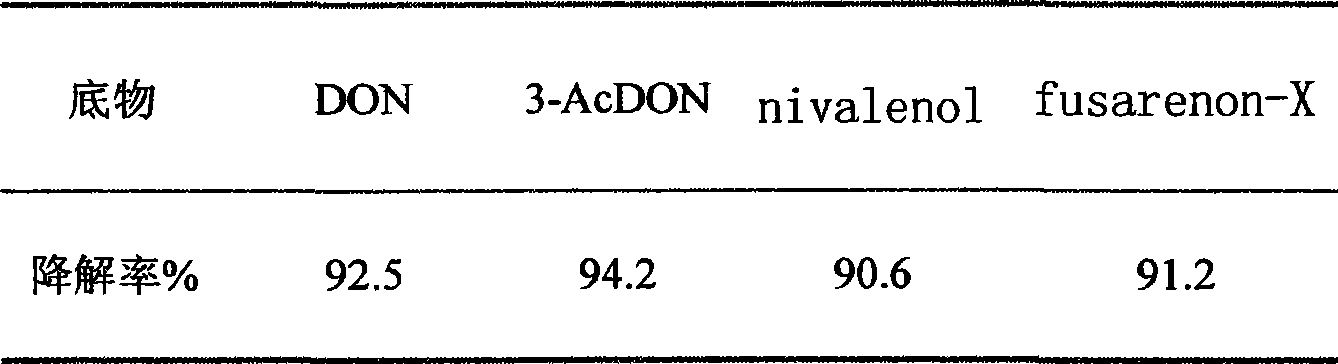 Bacterial strain capable of degrading mold toxin and formulation preparation method thereof