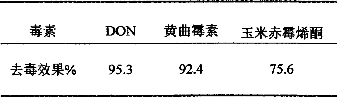 Bacterial strain capable of degrading mold toxin and formulation preparation method thereof