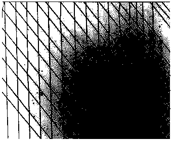 Microfluid spinning device used for preparing orderly orienting fiber