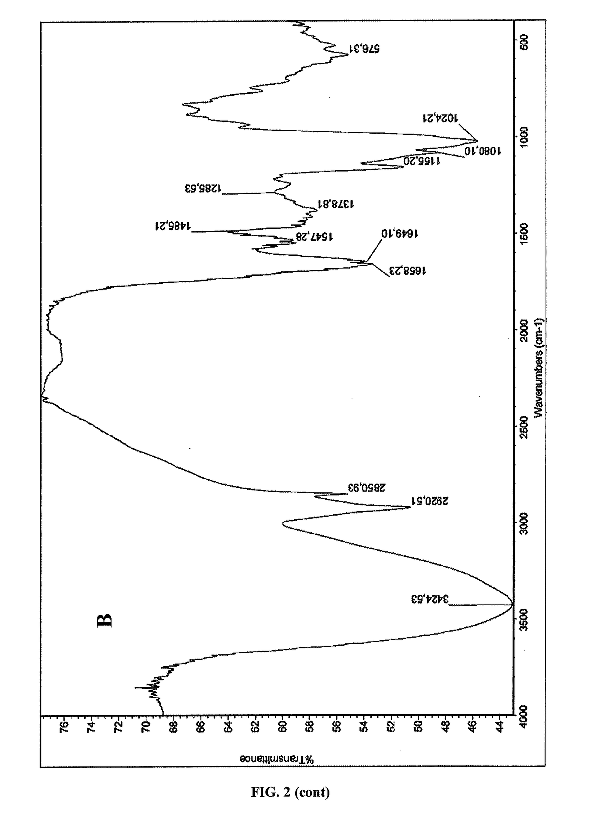 Chitin and chitosan producing methods