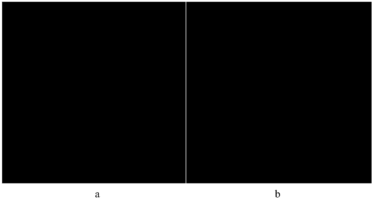 Paper-based micro-fluidic chip enhancement type chemiluminescence gene sensing method