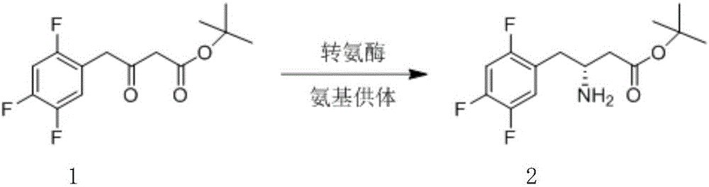 Biological preparation method of (R)-3-amino-4-(2,4,5-trifluorophenyl) tert-butyl butyrate