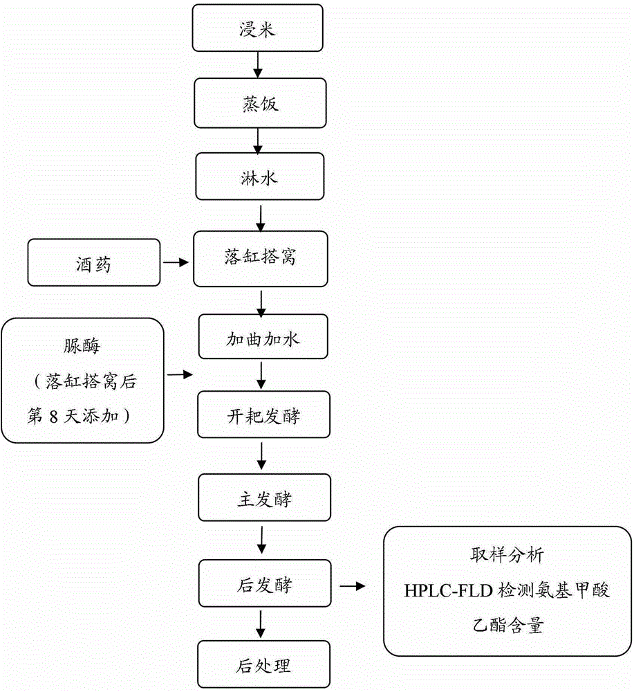 Brewing method for restraining generation of ethyl carbamate in conventional yellow rice wine