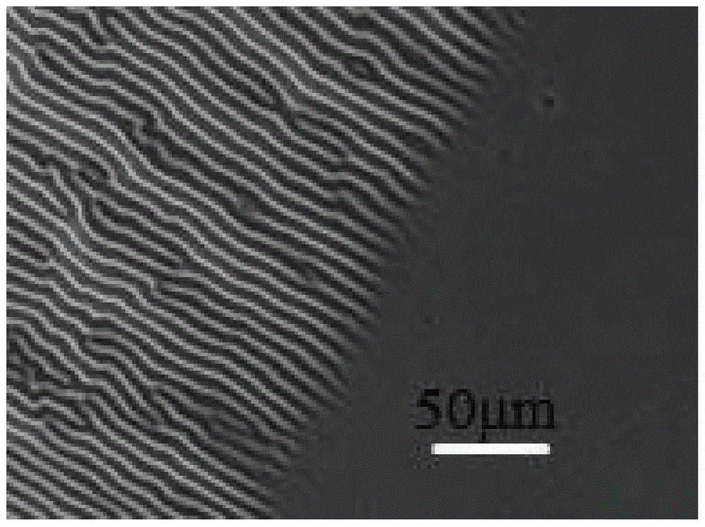 Method for stopping wrinkles from being formed on surface of azobenzene thin film by light illumination