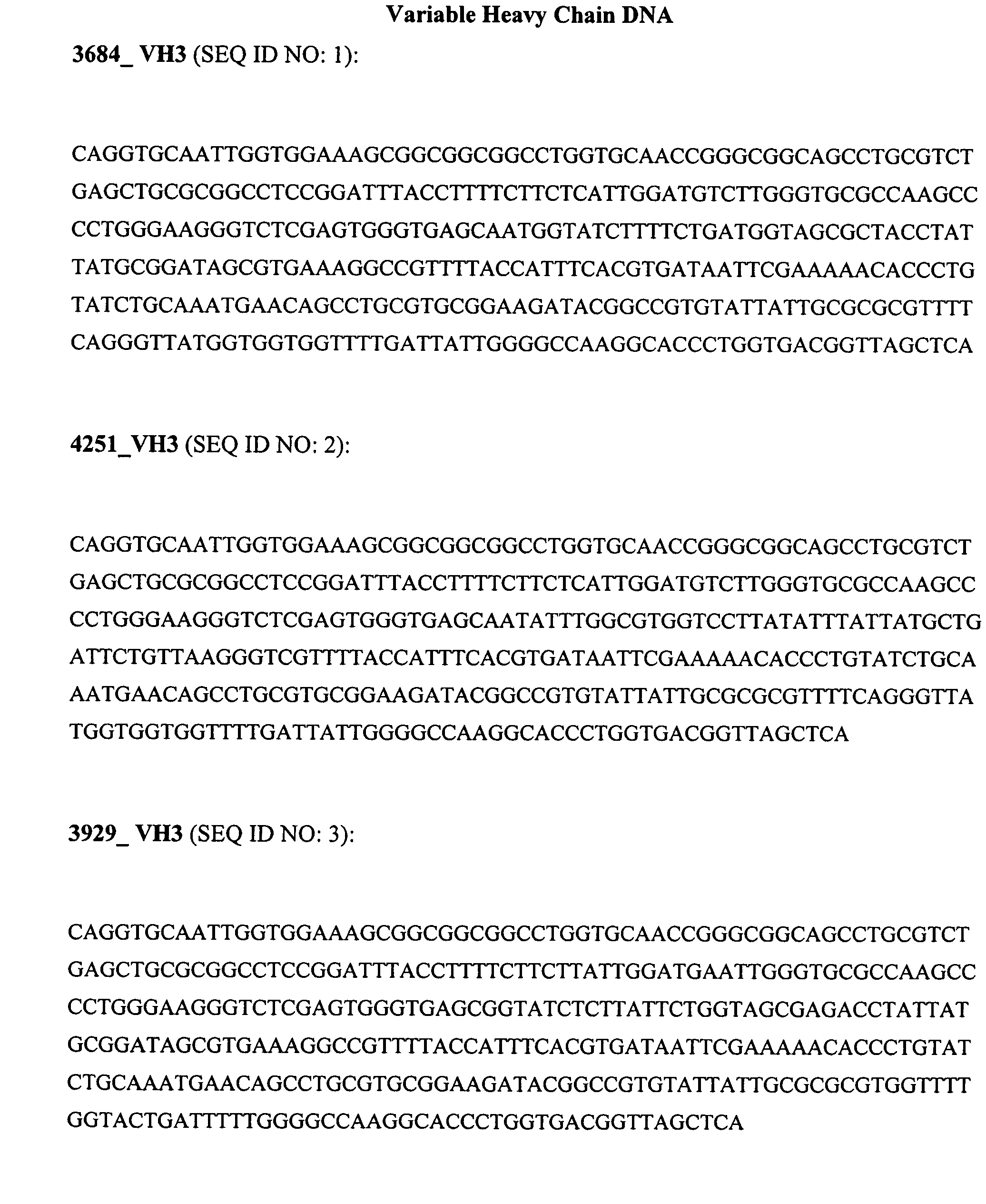 Anti-Gm-Csf Antibodies and Uses Therefor