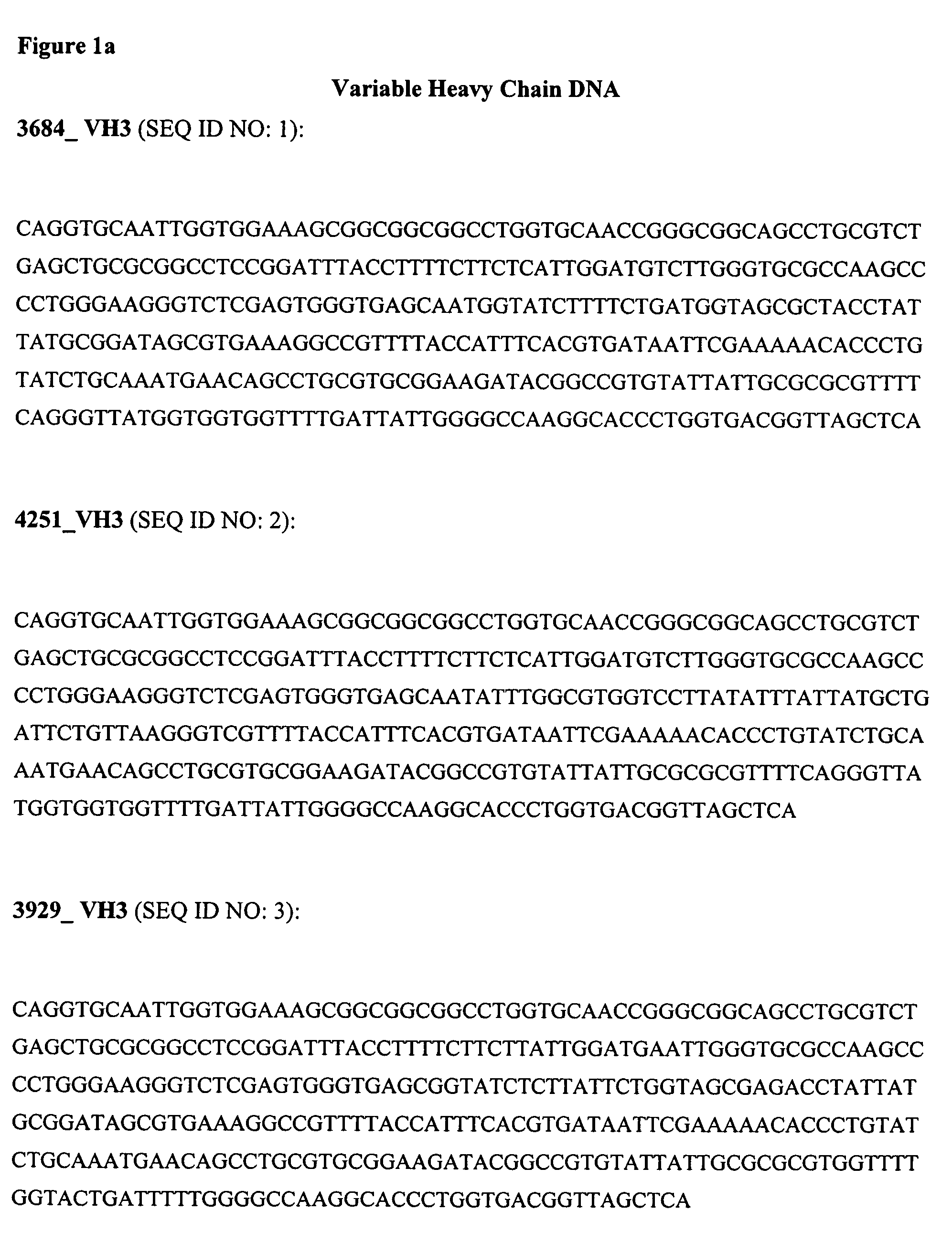 Anti-Gm-Csf Antibodies and Uses Therefor