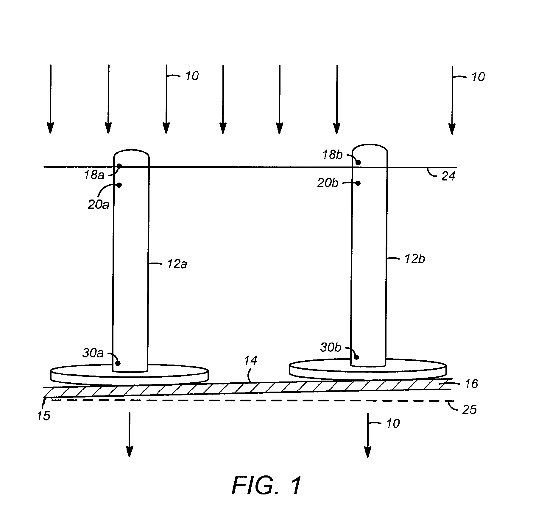 Apparatus and process for distributing vapor and liquid phases