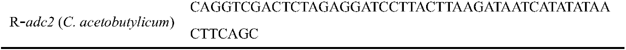 Construction method and application of metabolic engineering escherichia coli strain for producing acetone or isopropanol by virtue of acetic acid