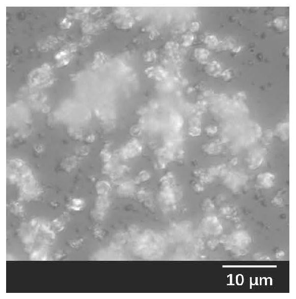 A medical periosteum support carrying ion and geometric pattern signals and its construction method