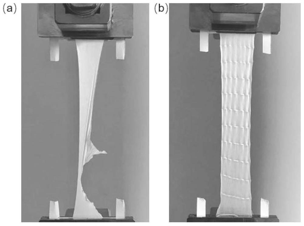 A medical periosteum support carrying ion and geometric pattern signals and its construction method