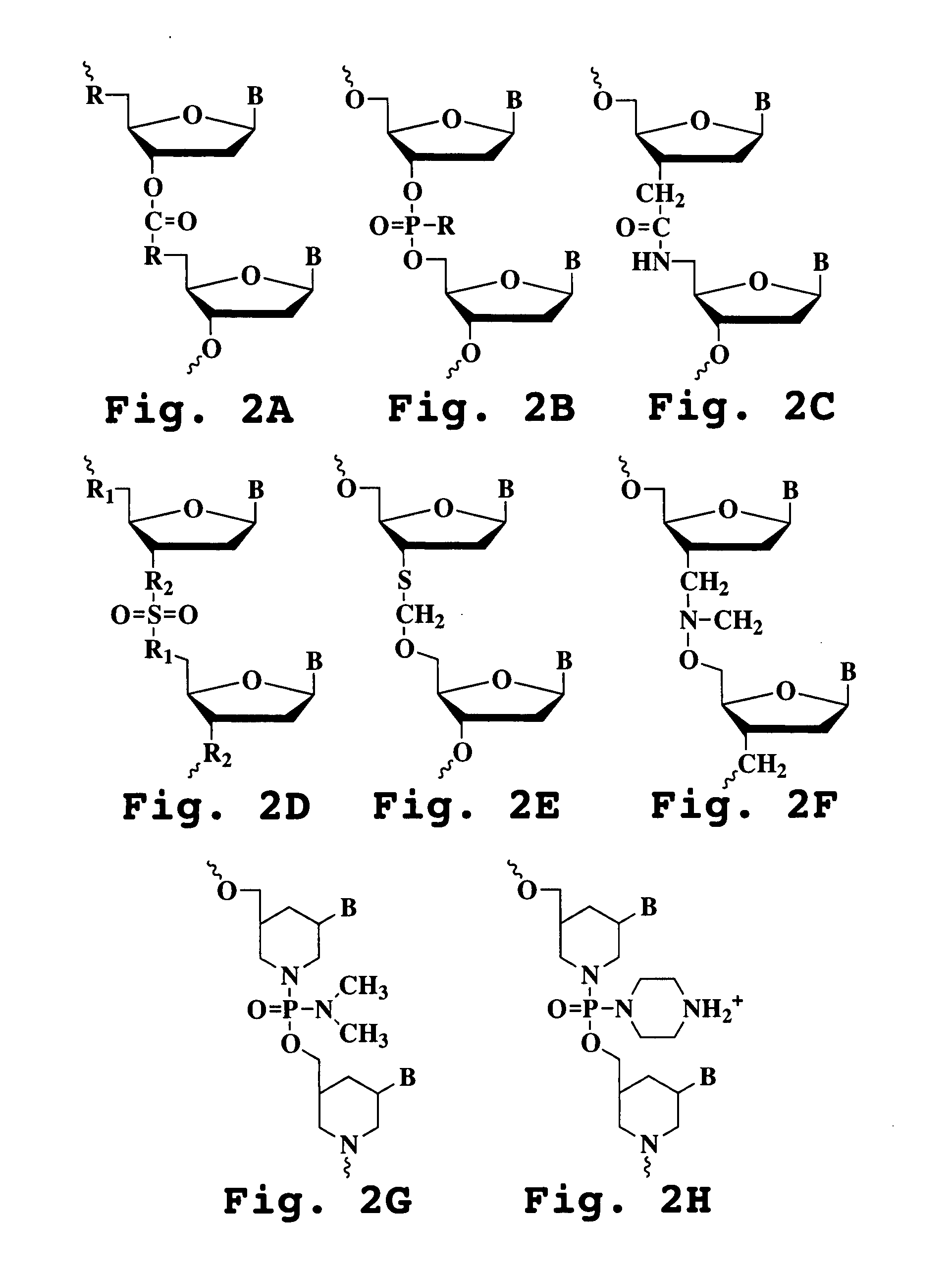 Antisense antiviral compound and method for treating arenavirus infection