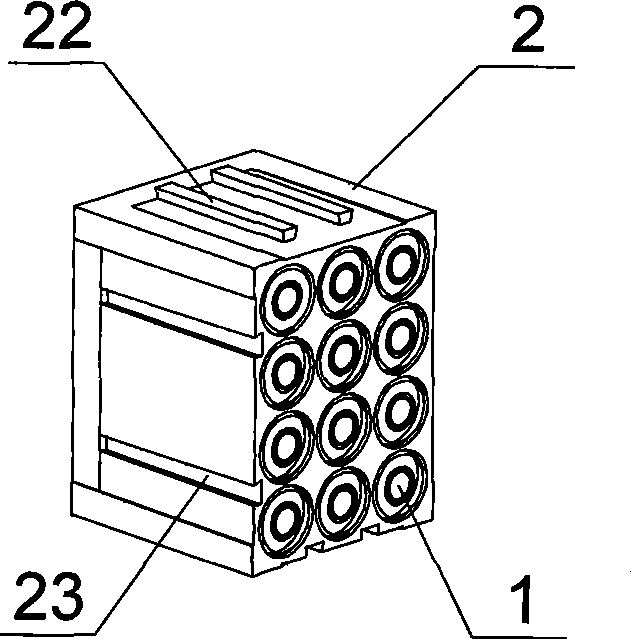 Lithium ionic cell module and cell set