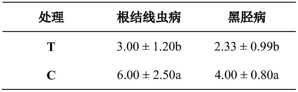 Soil conditioning bacterial agent and combination thereof with lime nitrogen