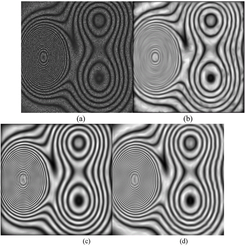 Large change density fringe pattern filtering method based on generalized total variation