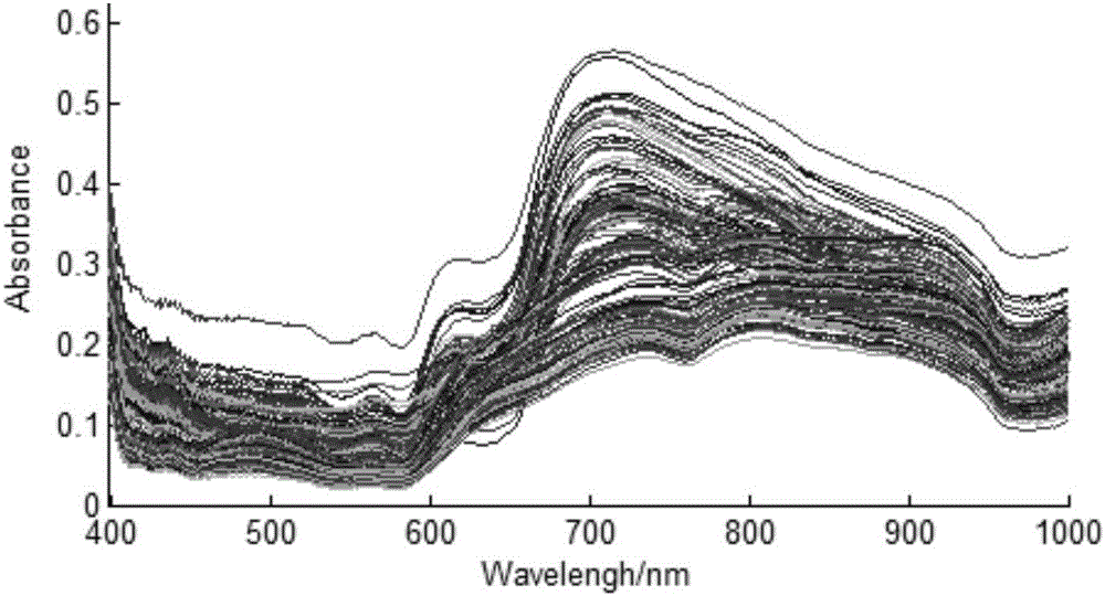 Chilled fresh meat quality non-destructive testing method based on hyperspectral imaging technology