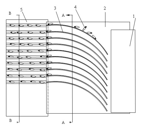 Arc guide plate super rice oriented sowing device