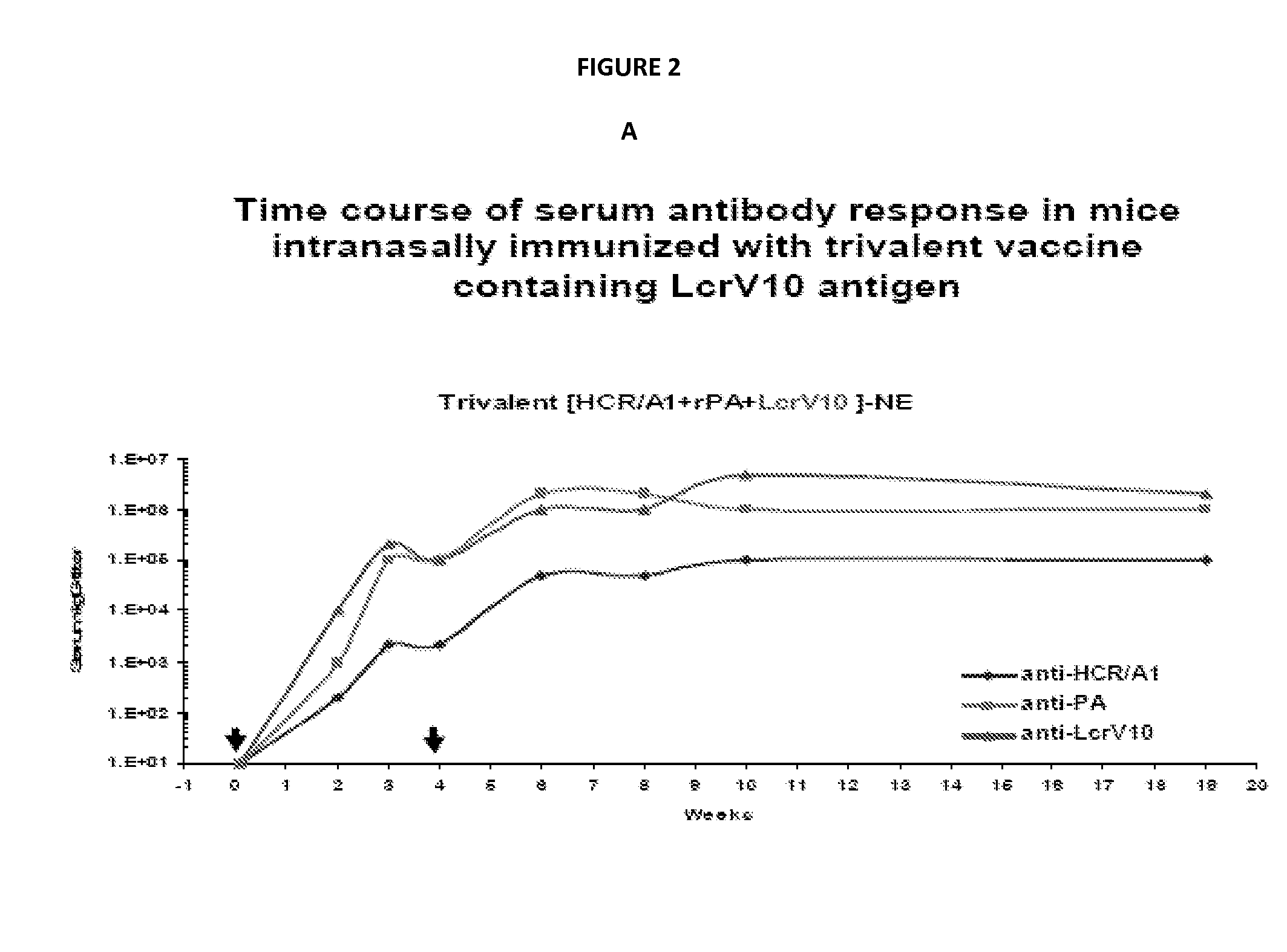 Multivalent nanoemulsion vaccines