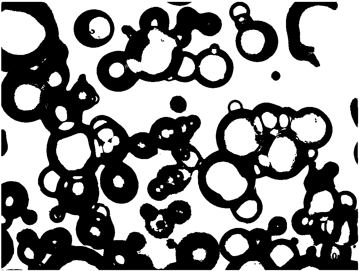 Dimethyl-monoperfluor decyl silicon-polyethyoxyl-sodium benzenesulfonate polycompound as well as preparation method and application thereof