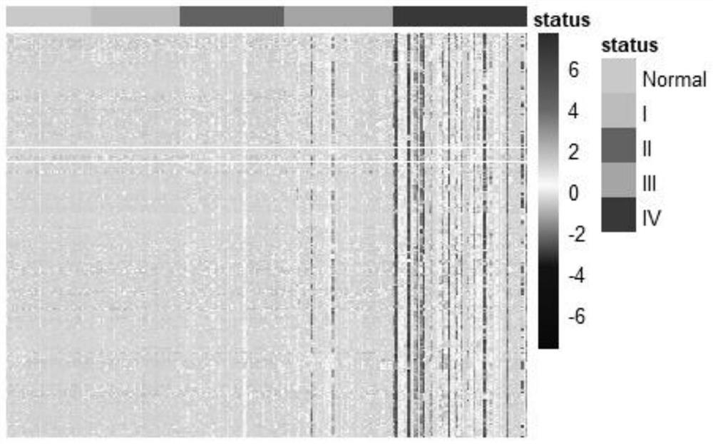 Method and system for evaluating colorectal cancer metastasis and recurrence risk and dynamically monitoring based on methyl marker combination