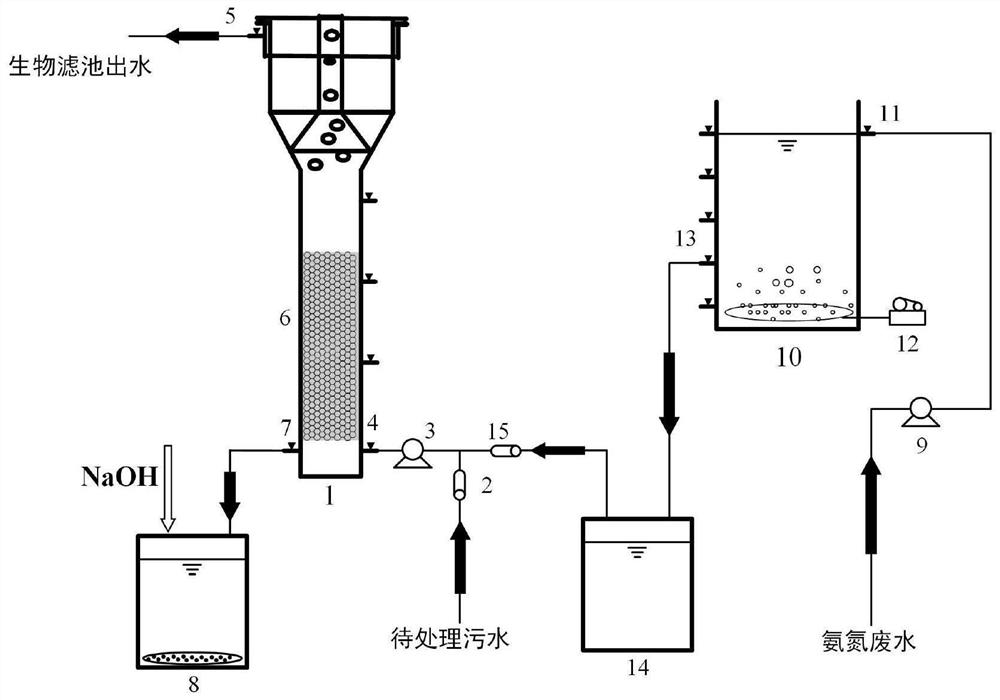 Water treatment device and treatment method for nitrogen and phosphorus removal