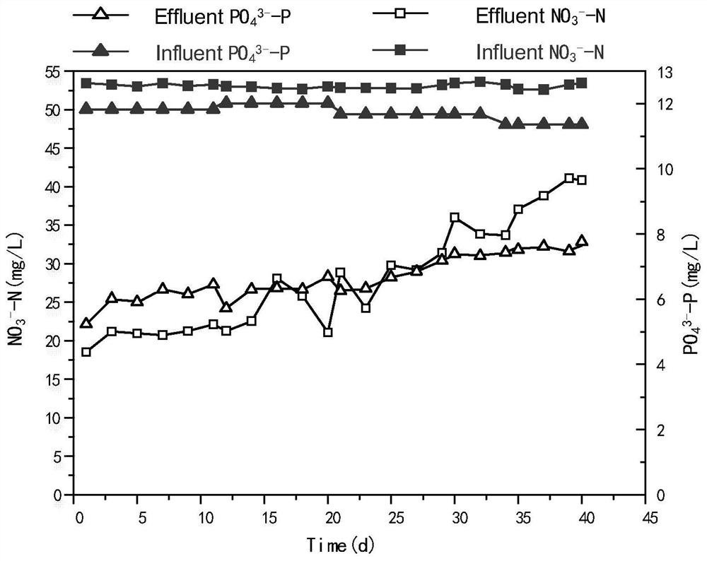 Water treatment device and treatment method for nitrogen and phosphorus removal