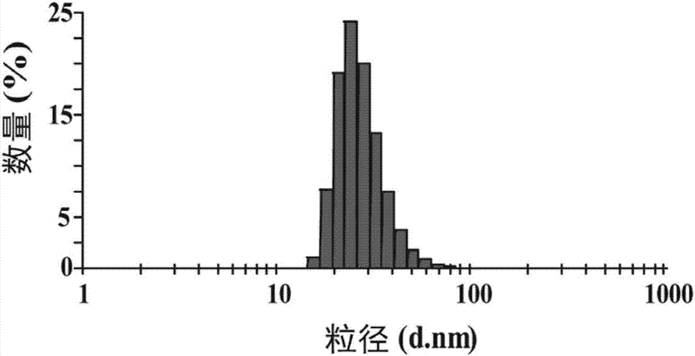 Nano-micelle drug carrier based on vitamin E derivative, nano-micelle drug composition as well as preparation method and application of nano-micelle drug composition