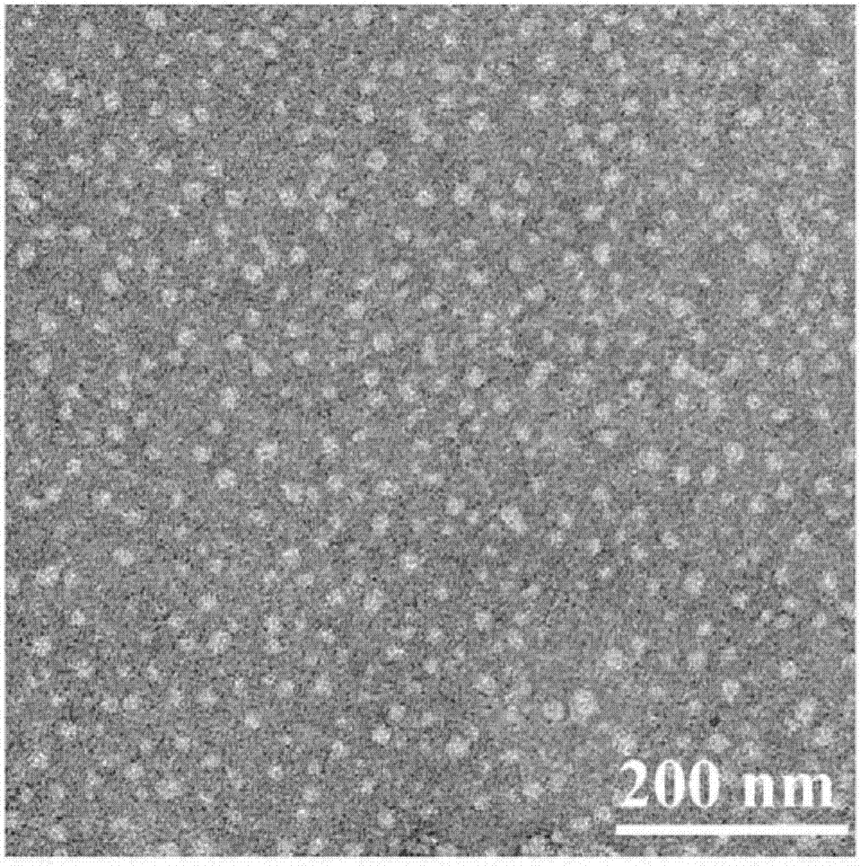 Nano-micelle drug carrier based on vitamin E derivative, nano-micelle drug composition as well as preparation method and application of nano-micelle drug composition