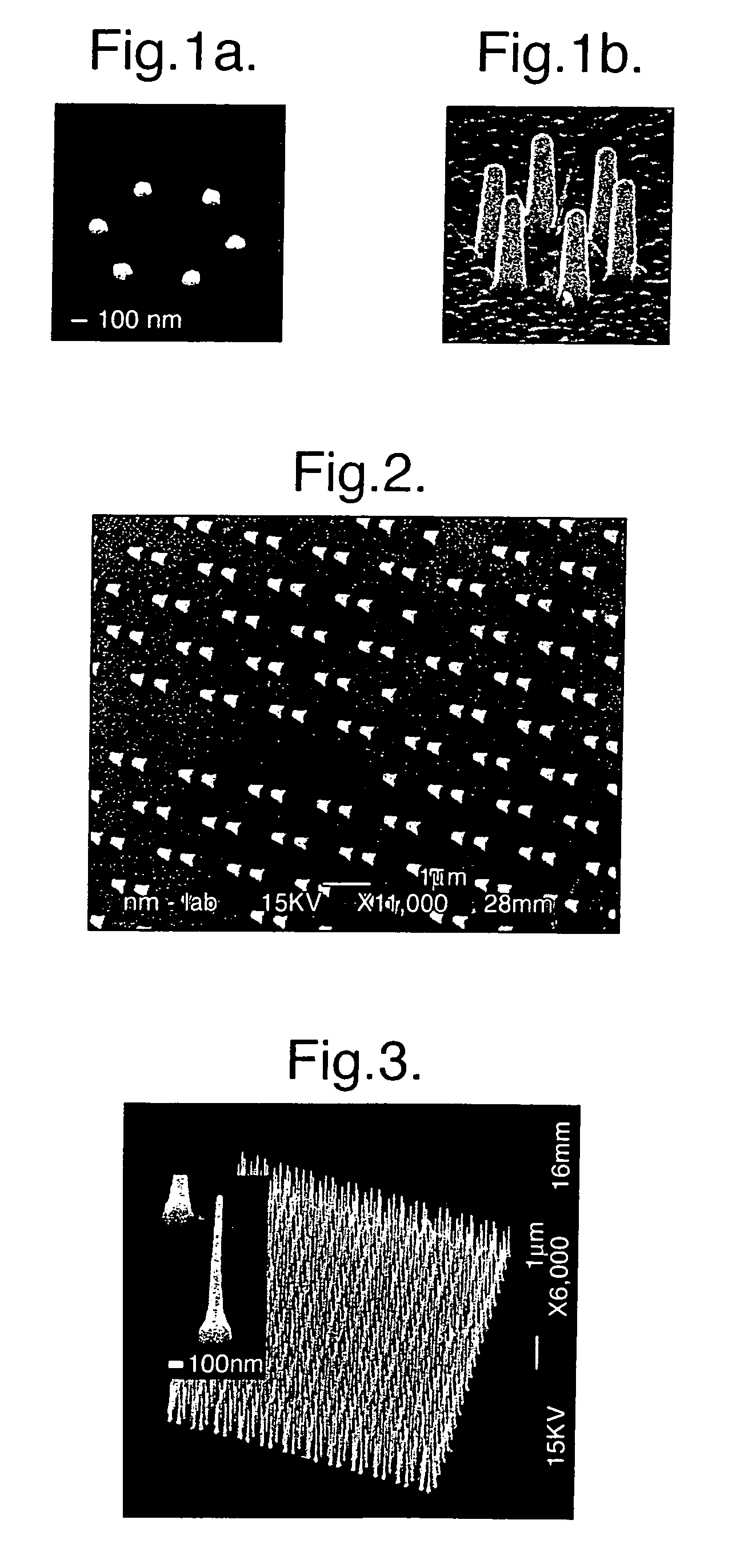 Precisely positioned nanowhiskers and nanowhisker arrays and method for preparing them