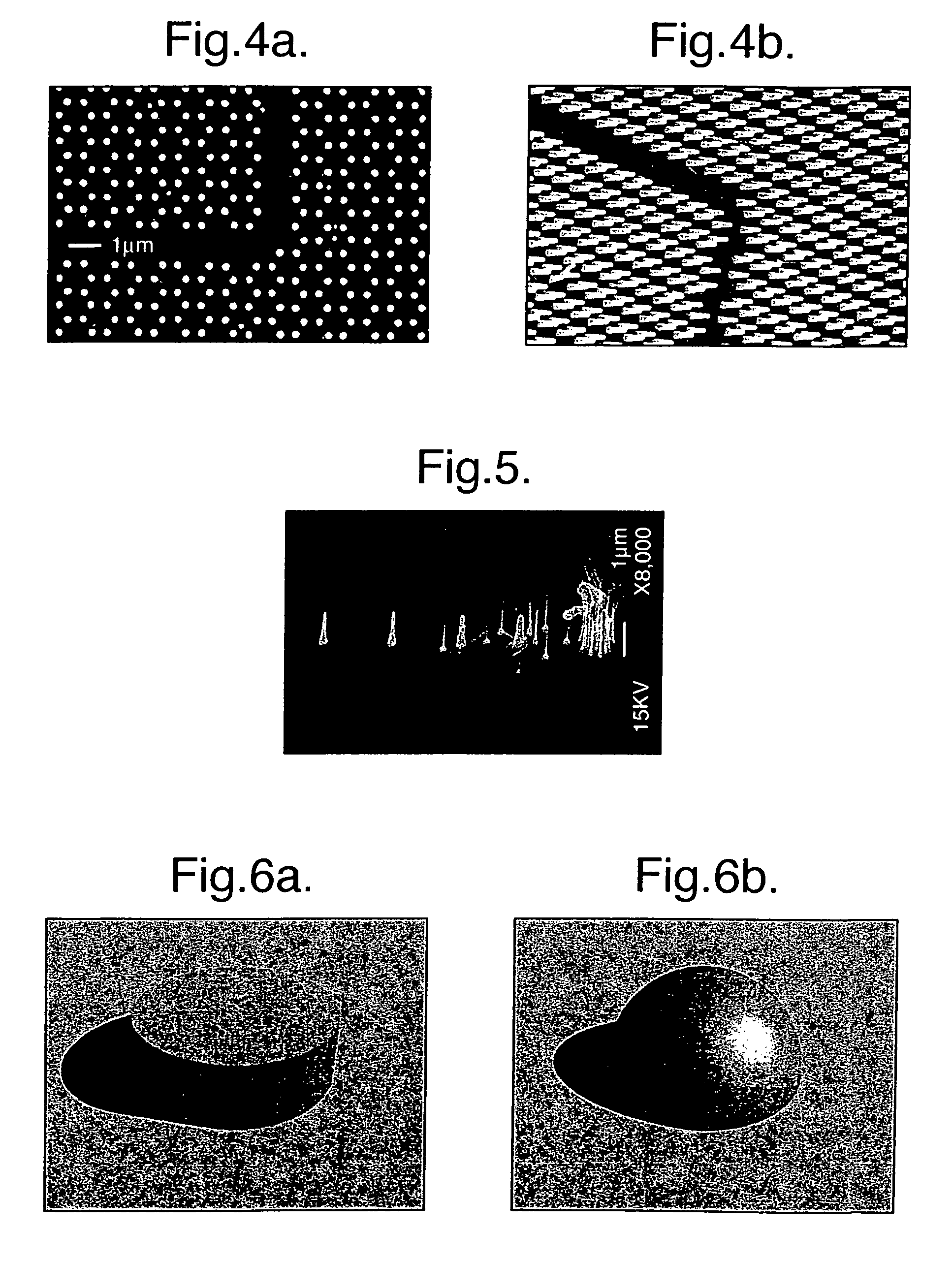 Precisely positioned nanowhiskers and nanowhisker arrays and method for preparing them