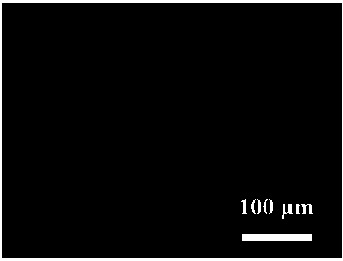 Biomedical hydrogel coating layer with 'sandwich' structure and preparation method of biomedical hydrogel coating layer