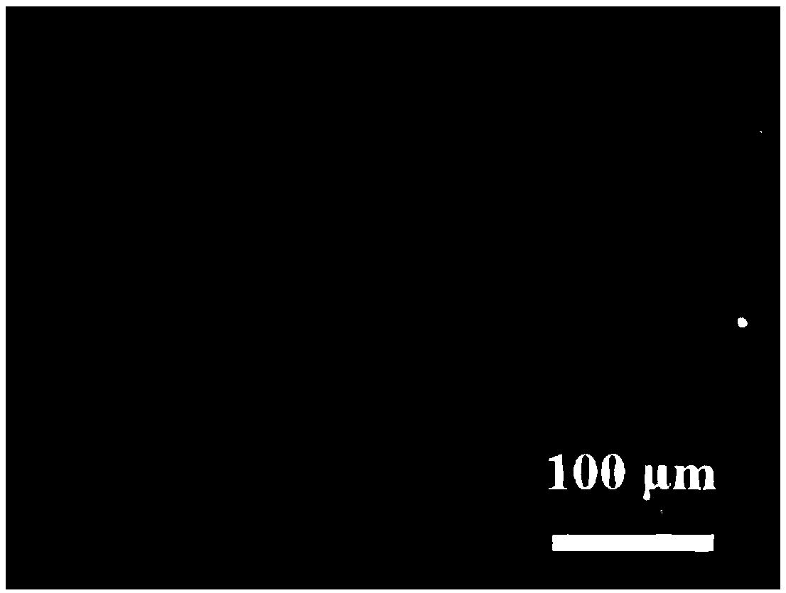 Biomedical hydrogel coating layer with 'sandwich' structure and preparation method of biomedical hydrogel coating layer