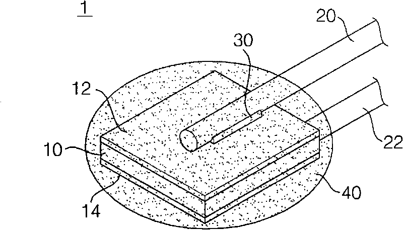 Ceramic chip assembly and manufacturing method thereof