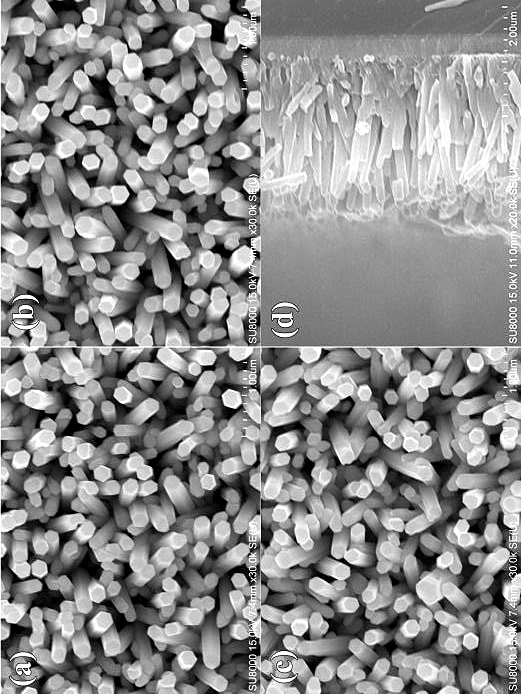 A cp*co(co)i  <sub>2</sub> Preparation method of cobalt-doped zinc oxide photoanode nanoarray