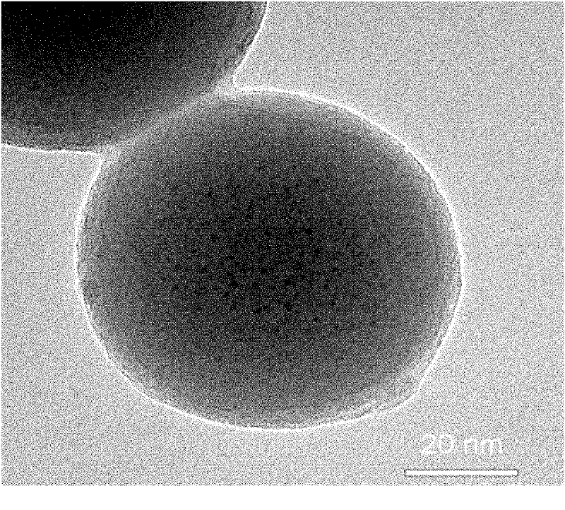 Method for preparing polymer fluorescent nano particle