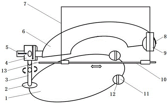 Cranial periphery position finder