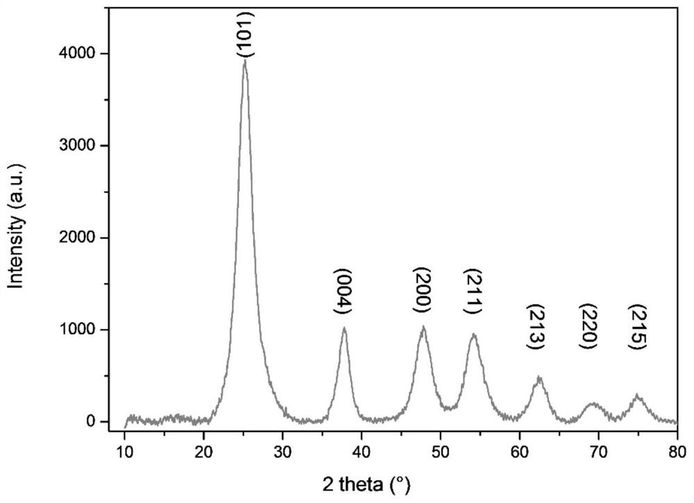 Modification method of polymer solid polyelectrolyte