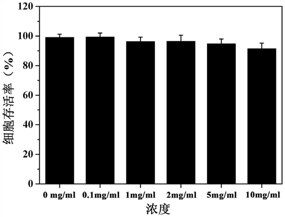 Hydrophilic negatively-charged porous nano-film for repairing chronic kidney disease as well as preparation method and application of hydrophilic negatively-charged porous nano-film