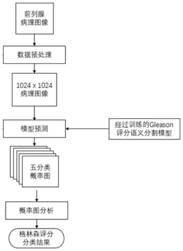 Rapid Gleason scoring system for prostate digital pathological image