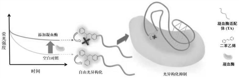 Photoisomerization-based biosensor and application thereof in thrombin detection