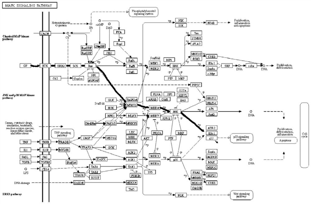 System and method for detecting clinical results of patients with hepatocellular carcinoma by HBV (Hepatitis B Virus)