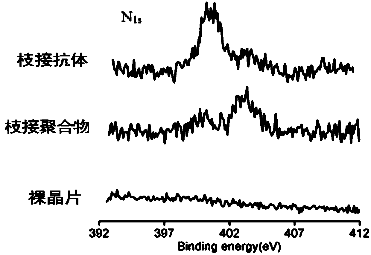 Surface modification method for QCM wafer