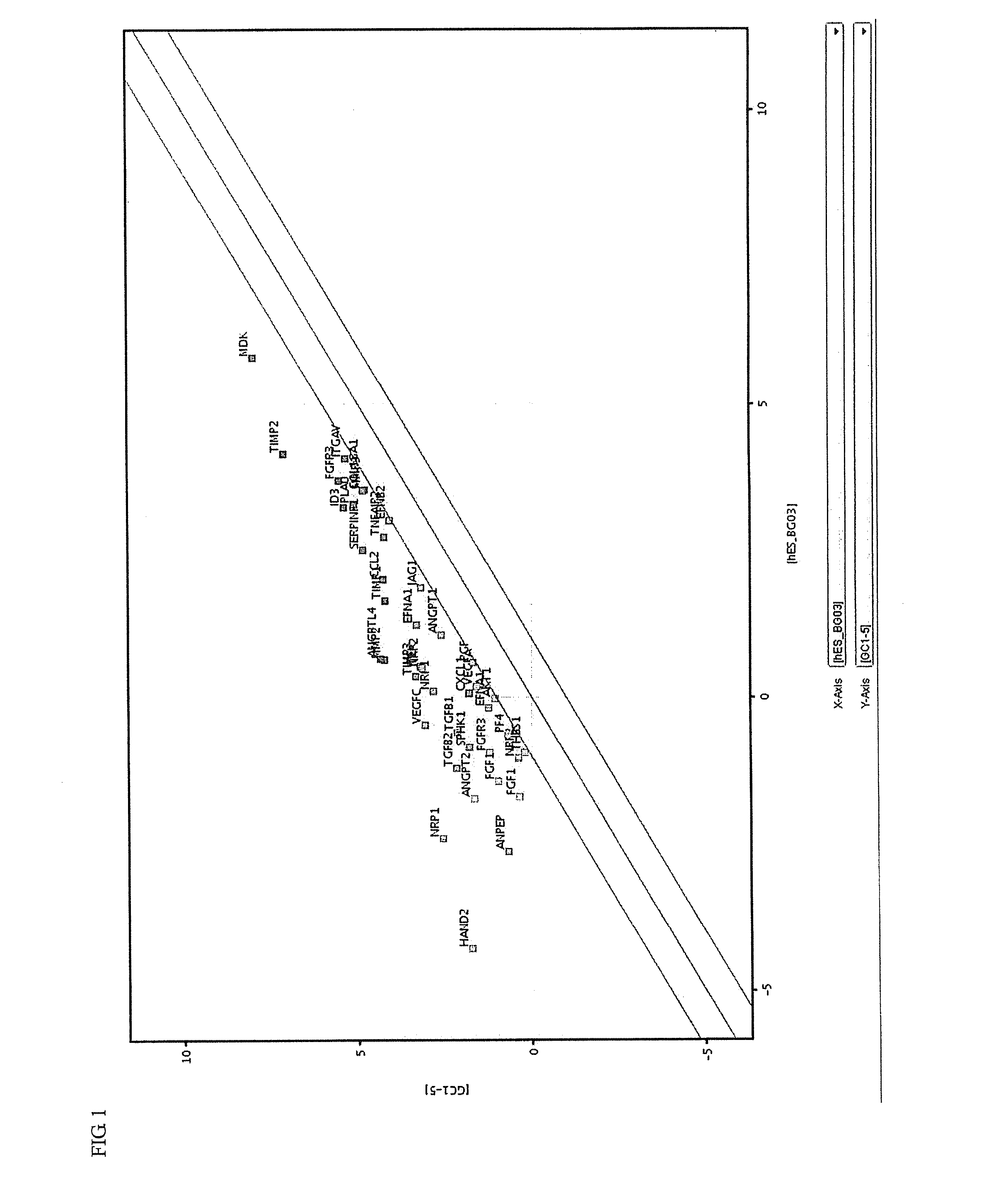 Induced malignant stem cells or pre-induction cancer stem cells capable of selfreplication outside of an organism, production method for same, and practical application for same