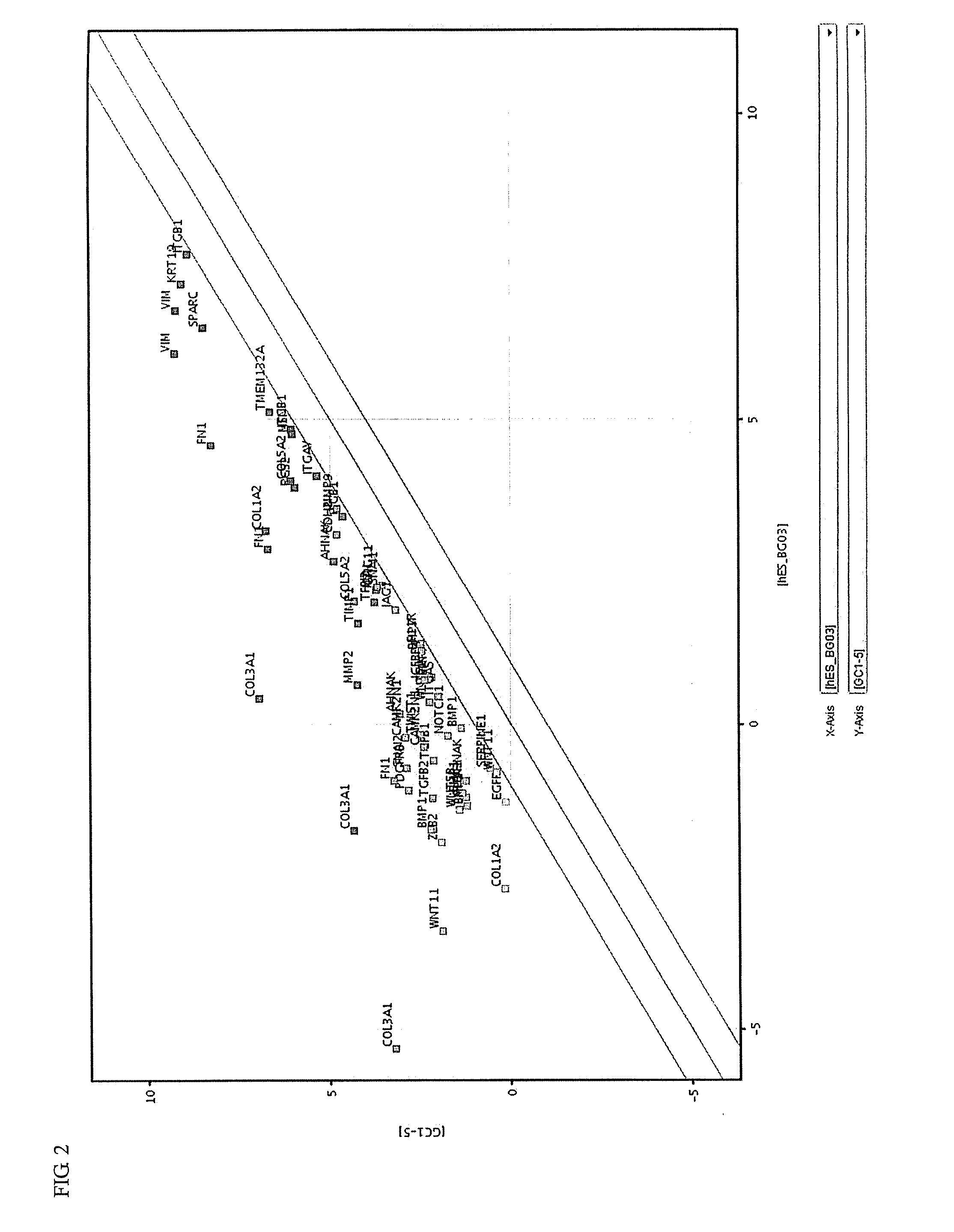 Induced malignant stem cells or pre-induction cancer stem cells capable of selfreplication outside of an organism, production method for same, and practical application for same