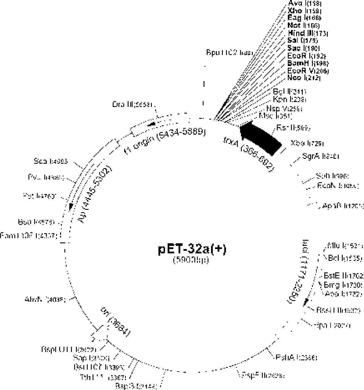 Blood vessel target liposome carrier mediated by fiber forming growth factor receptor and preparation method and use thereof