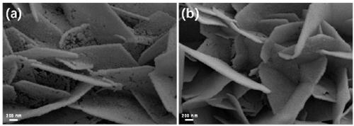 Preparation method and applications of impregnation type mono-atomic iron-carbon layer modified nickel based or cobalt based composite material electrode