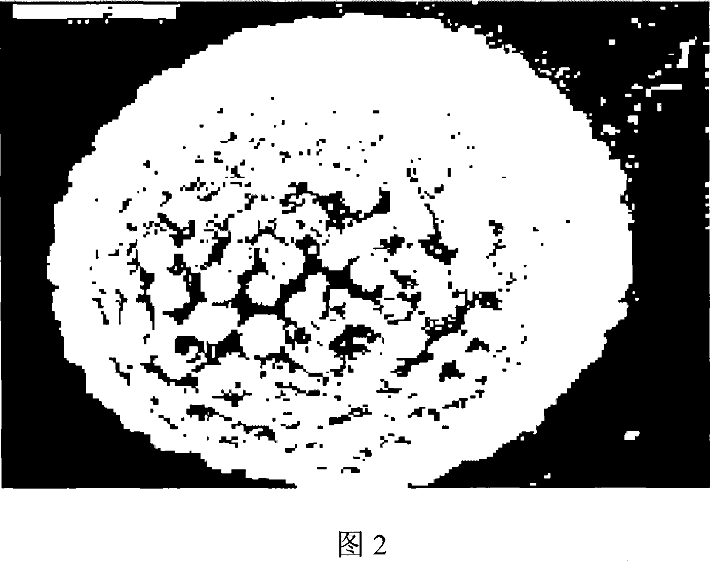 Cosmetic composition for scrubbing