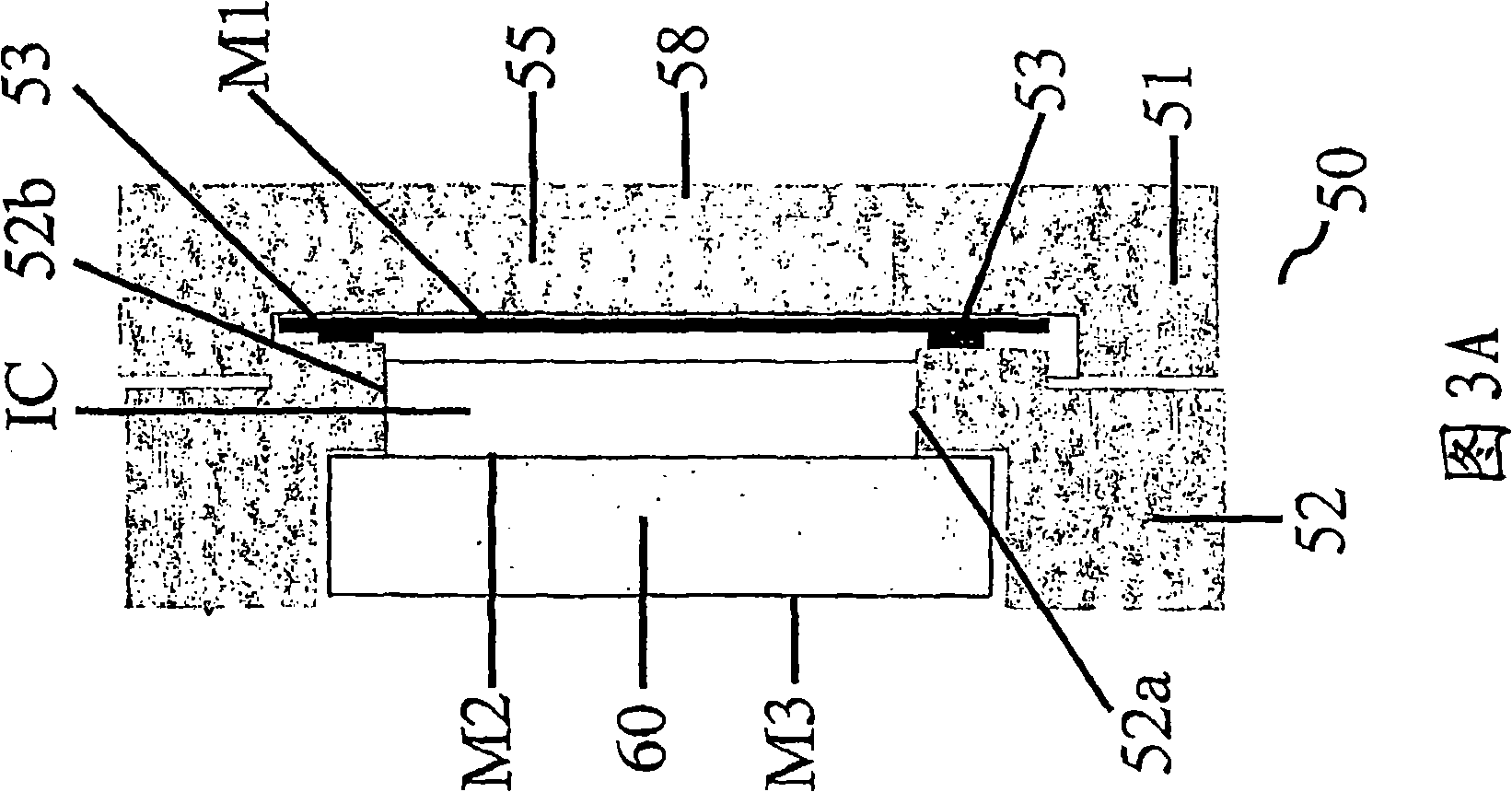 Bioreactor for cell and tissue culture