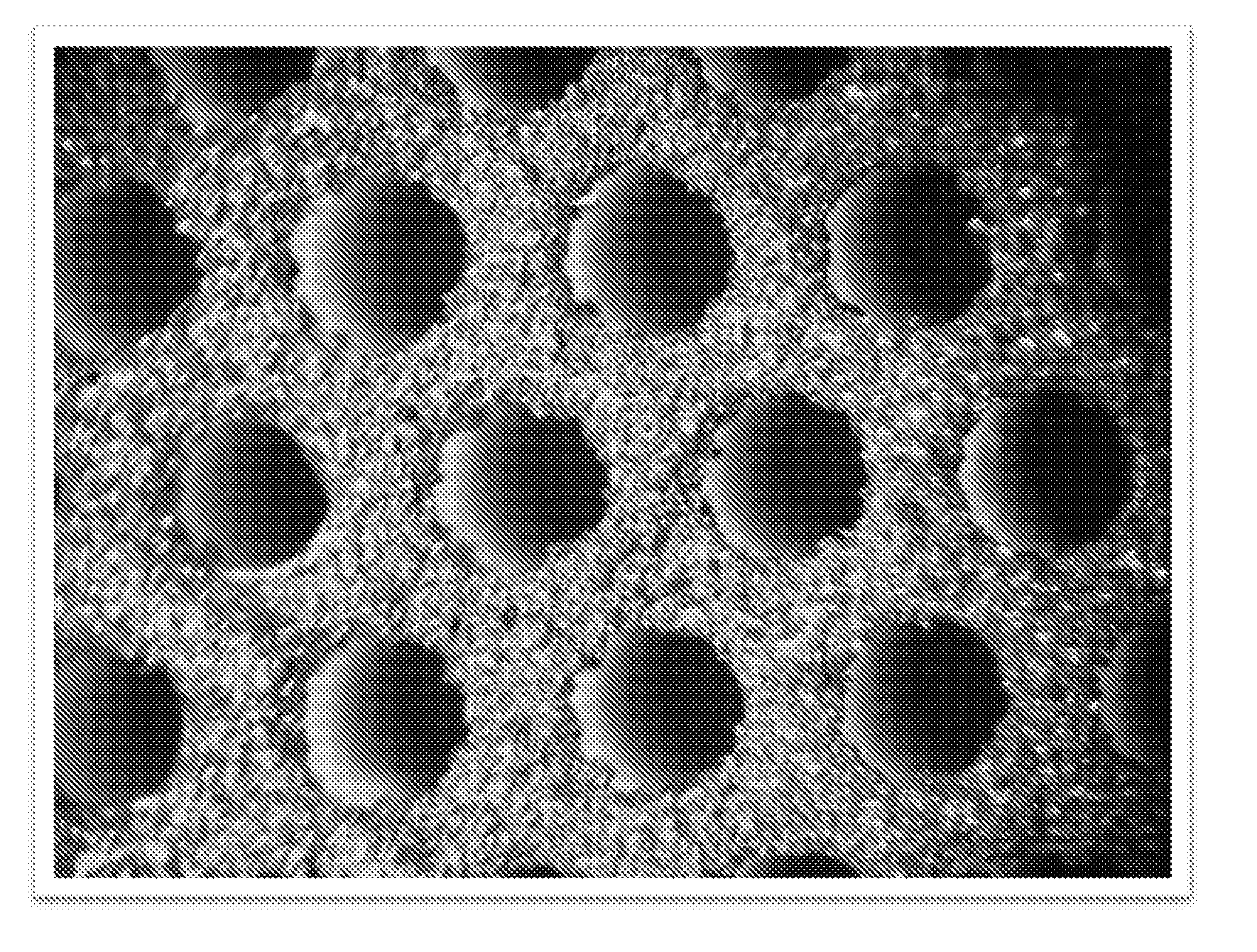 Coatings for Refractory Substrates