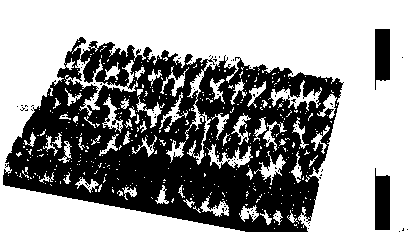 Preparation method of p-type dye sensitization battery